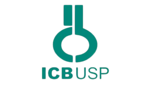 Mapa de Site - Jr Eng [finalizado] (31)